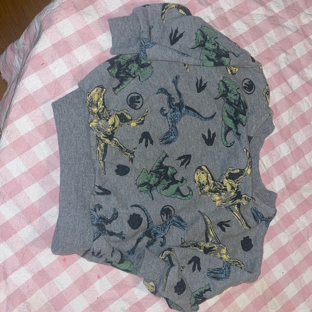 Jurassic World sweatshirt
